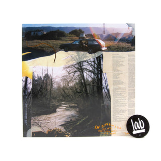 The Microphones: Microphones In 2020 Vinyl 