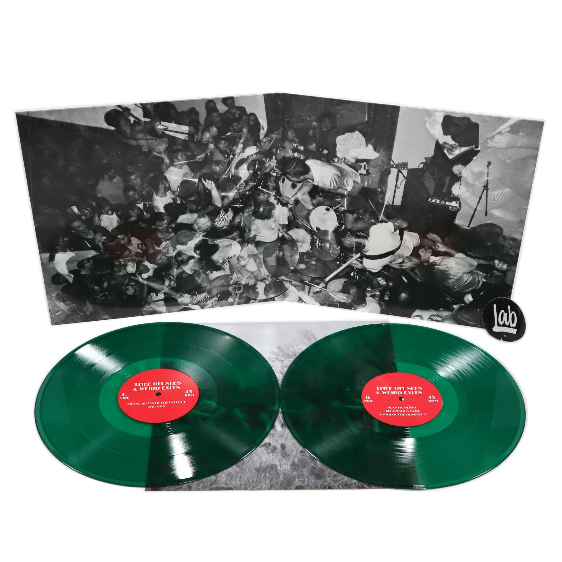 thee oh sees plastic plant Thee Oh Sees