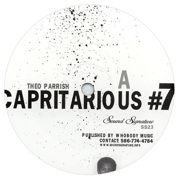 Theo Parrish: Capritarious #7 / Levels Vinyl 2LP