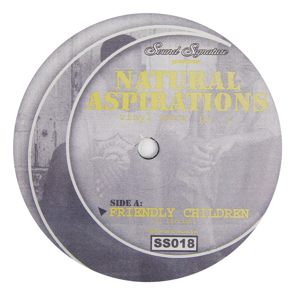 Theo Parrish: Natural Aspirations (Vinyl Vers. Pt.1) Vinyl 12"