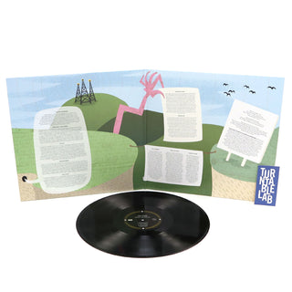 The Shins: Chutes Too Narrow Vinyl LP