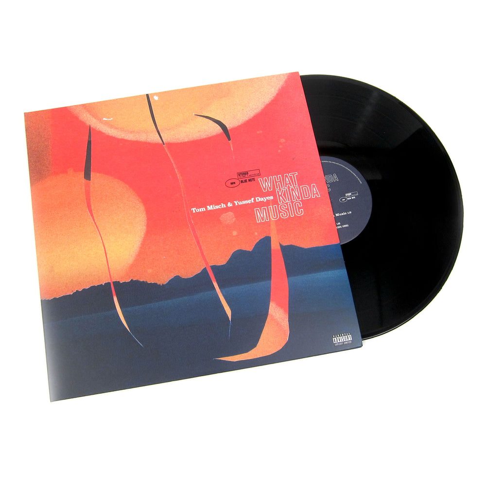 Tom Misch & Yussef Dayes: What Kinda Music (180g) Vinyl 2LP