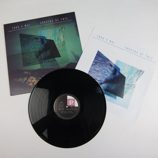 Toro Y Moi: Causers Of This (Free MP3) Vinyl LP detail