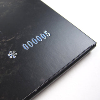 Trey Anastasio: Ghosts Of The Forest (Phish, 180g) Vinyl LP