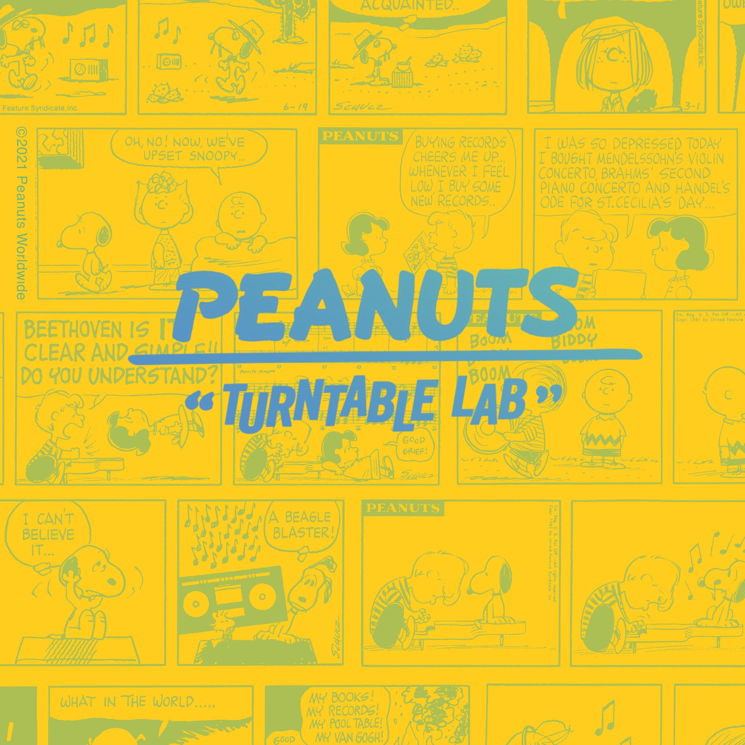 Turntable Lab: Peanuts Comic Strip Record Mat Slipmat - Grey ...