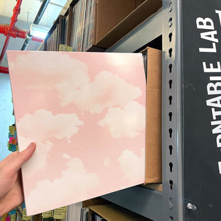 Turnstile: Glow On Vinyl LP