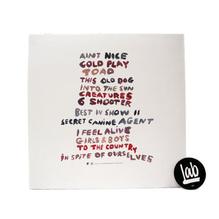 Viagra Boys: Welfare Jazz Vinyl LP