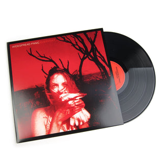 Widespread Panic: Everyday Vinyl LP