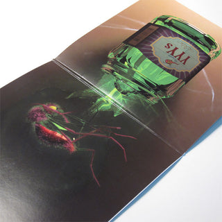 Yeah Yeah Yeahs: Mosquito (Free MP3) LP 3