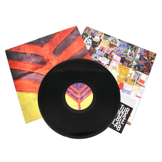 Yeah Yeah Yeahs: Show Your Bones Vinyl 