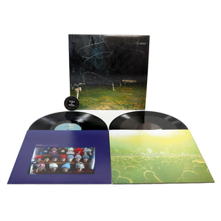 Yo La Tengo: This Stupid World Vinyl 2LP